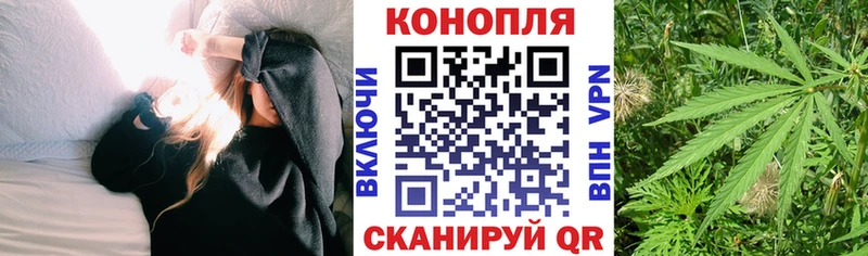 Где купить Малаховка Cocaine ГАШИШ Каннабис