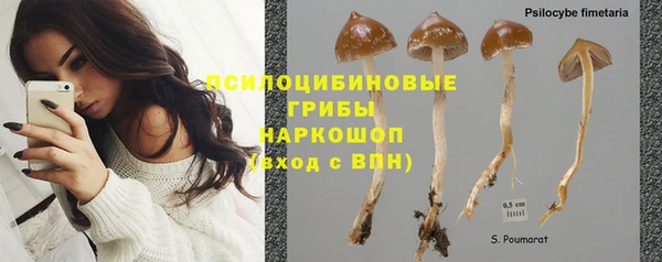 стафф Богородицк