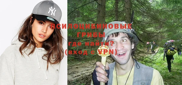 прущий лед Богородск