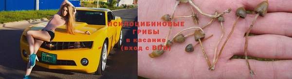 прущий лед Богородск