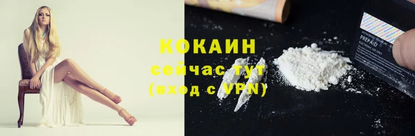 стафф Богородицк
