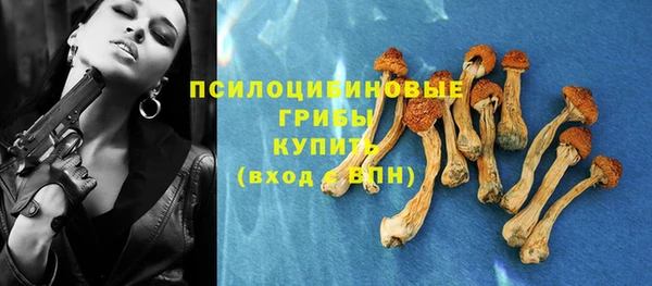 прущий лед Богородск