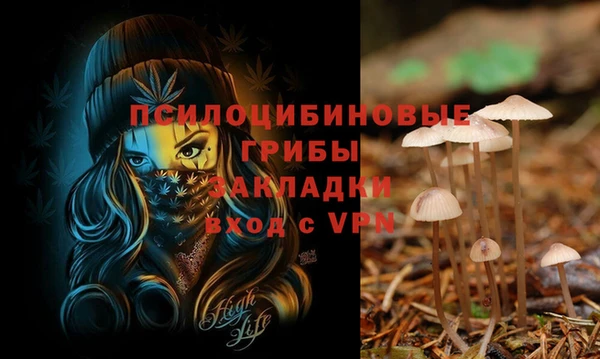 стафф Богородицк
