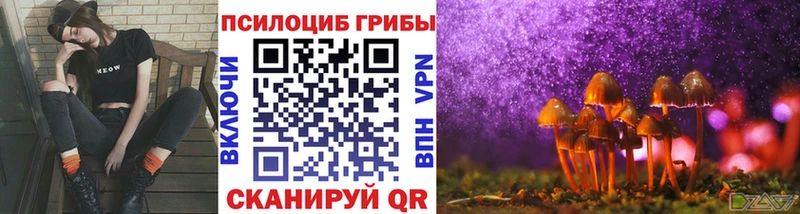 Галлюциногенные грибы Psilocybe  Малаховка 